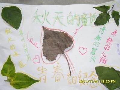 男生嘴巴有片枫叶头像图片_WWW.WHOISQQ.COM
