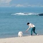 蓝色大海头像图片男生_WWW.WHOISQQ.COM