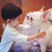 qq男生头像图片人和动物_WWW.WHOISQQ.COM