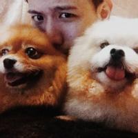 qq泡泡头像图片男生_WWW.WHOISQQ.COM