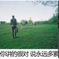 qq 男生背影头像图片_WWW.WHOISQQ.COM
