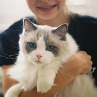 男生用猫做头像图片_WWW.WHOISQQ.COM