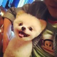 男生摸扎头像图片_WWW.WHOISQQ.COM