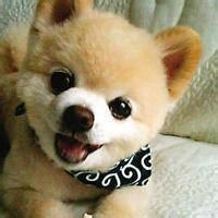 qq头像图片男生萌娃拿杯子_WWW.WHOISQQ.COM