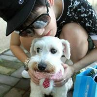 qq头像图片男生牵着狗_WWW.WHOISQQ.COM