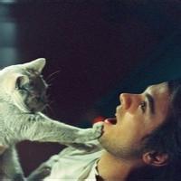 男生拿猫头像图片_WWW.WHOISQQ.COM