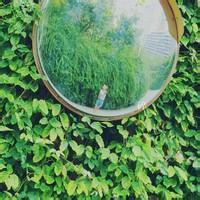 背景是绿色的男生头像图片_WWW.WHOISQQ.COM