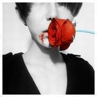 q版男生拿玫瑰求婚头像图片_WWW.WHOISQQ.COM