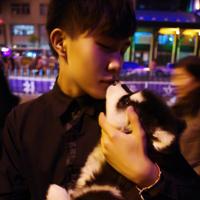 男生送花的qq头像图片_WWW.WHOISQQ.COM