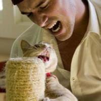 男生抱着猫咪的头像图片_WWW.WHOISQQ.COM