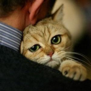 男生抱着猫咪的头像图片_WWW.WHOISQQ.COM