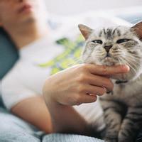 男生抱着猫咪的头像图片_WWW.WHOISQQ.COM