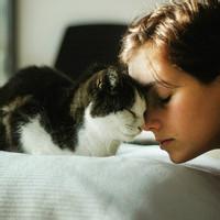 男生抱着猫咪的头像图片_WWW.WHOISQQ.COM