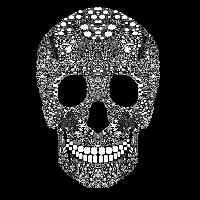 骷髅qq头像图片男生_WWW.WHOISQQ.COM