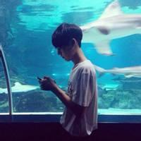 男生蔚蓝头像图片_WWW.WHOISQQ.COM