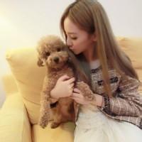 男生抱狗女生抱猫头像图片_WWW.WHOISQQ.COM