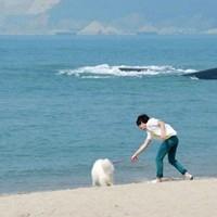 qq头像图片 大海 男生_WWW.WHOISQQ.COM