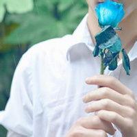 抱花的男生头像图片_WWW.WHOISQQ.COM