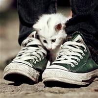 男生穿帆布鞋头像图片_WWW.WHOISQQ.COM