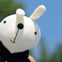 qq兔子头像图片男生_WWW.WHOISQQ.COM