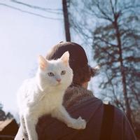 男生头像图片带猫_WWW.WHOISQQ.COM