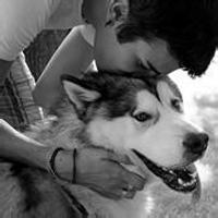 男生抱狗头像图片吧_WWW.WHOISQQ.COM