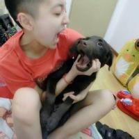 男生和宠物狗头像图片_WWW.WHOISQQ.COM