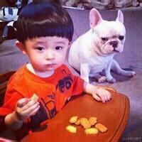 qq头像图片2014男生动物_WWW.WHOISQQ.COM