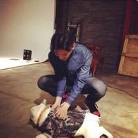 qq头像图片2014男生动物_WWW.WHOISQQ.COM