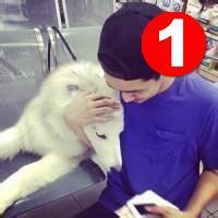 qq头像图片2014男生动物_WWW.WHOISQQ.COM