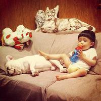 2次元萌男生萌头像图片_WWW.WHOISQQ.COM