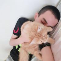 带猫咪男生头像图片_WWW.WHOISQQ.COM