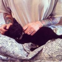 男生抱着猫 q友头像图片_WWW.WHOISQQ.COM