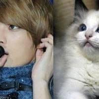 男生抱着猫 q友头像图片_WWW.WHOISQQ.COM