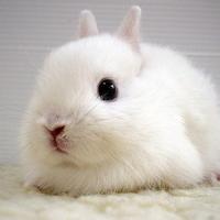 qq2014头像图片萌男生_WWW.WHOISQQ.COM