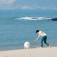 海边头像图片男生_WWW.WHOISQQ.COM