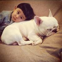男生头像图片有狗的_WWW.WHOISQQ.COM