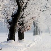 浪漫雪景男生头像图片_WWW.WHOISQQ.COM