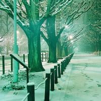 浪漫雪景男生头像图片_WWW.WHOISQQ.COM