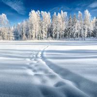 浪漫雪景男生头像图片_WWW.WHOISQQ.COM