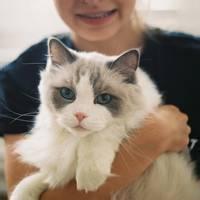 人猫头像图片男生_WWW.WHOISQQ.COM