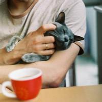 人猫头像图片男生_WWW.WHOISQQ.COM