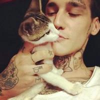 人猫头像图片男生_WWW.WHOISQQ.COM