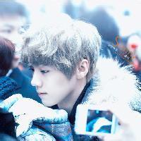 exoqq头像图片男生鹿晗_WWW.WHOISQQ.COM