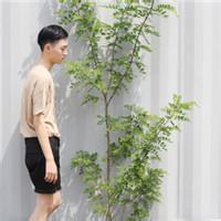男生森林系头像图片_WWW.WHOISQQ.COM