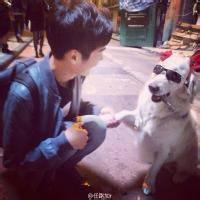 男生带?狗头像图片_WWW.WHOISQQ.COM