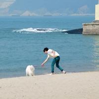 qq头像图片男生海边沙滩_WWW.WHOISQQ.COM