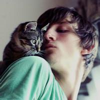 qq头像图片男生猫_WWW.WHOISQQ.COM