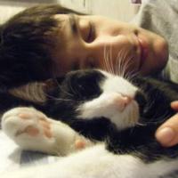 爱猫的男生qq头像图片_WWW.WHOISQQ.COM