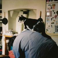 爱猫的男生qq头像图片_WWW.WHOISQQ.COM